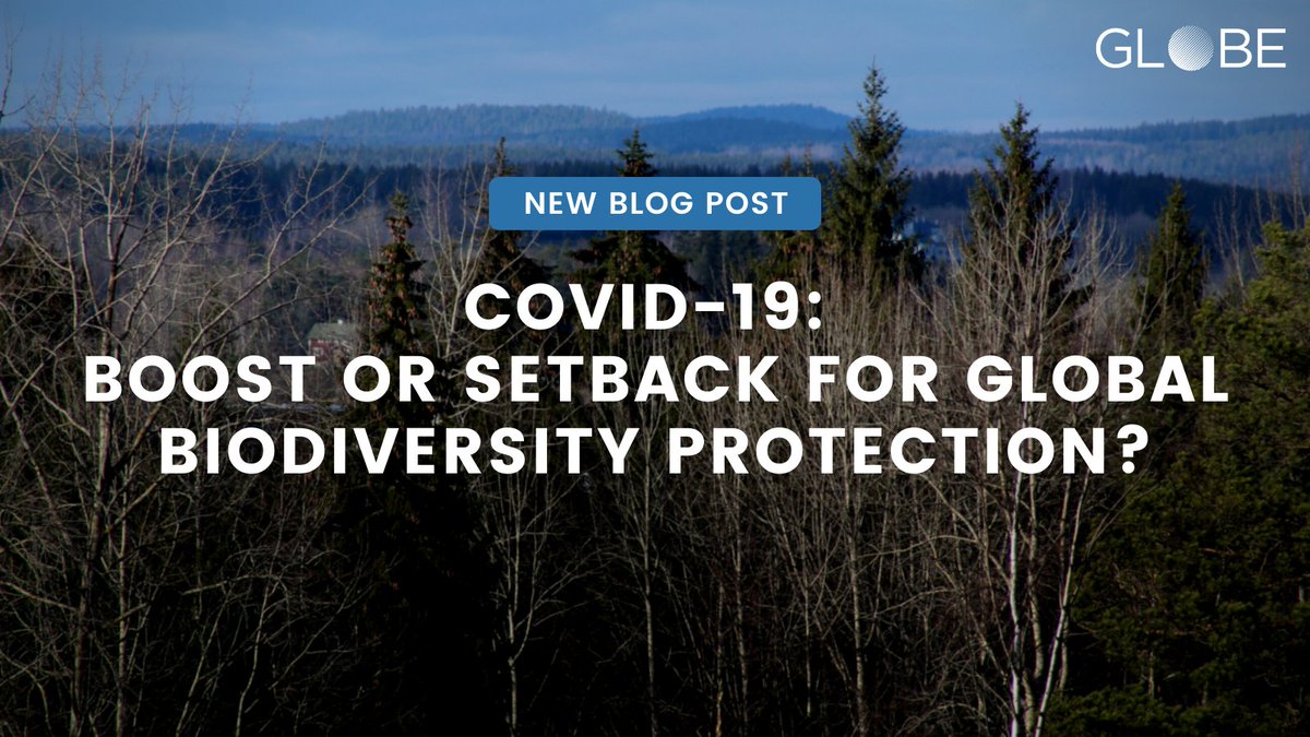 New #GLOBE blog post: "#COVID19: Boost or Setback for Global Biodiversity Protection?"
<a href="/jkrnkmp/">Julia Kreienkamp</a> (<a href="/GGIUCL/">Global Governance</a>) looks at the short- and long-term implications of the pandemic for global efforts to halt #biodiversity loss. 
globe-project.eu/en/covid-19-bo…