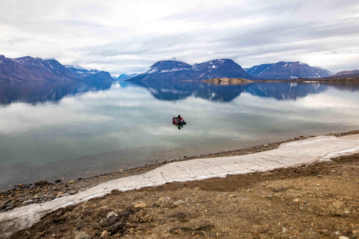 GEM_Arctic's tweet photo. Beautiful movie from #Daneborg, NE Greenland. Professor Mikael Sejr shares some of the insights into climate change that #MarineBasis have gained over the past years they have worked in this remote and sensitive environment https://t.co/hMAll8Y6M6 https://t.co/itAL5nm6ot