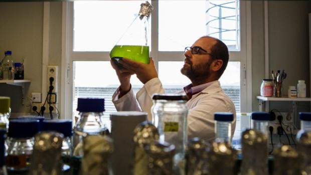 cicCartuja (@ciccartuja) on Twitter photo El innovador proyecto de creación de #biofertilizantes liderado por Vicente Mariscal <a href="/Vmariscal_BioN2/">Vicente Mariscal</a> y su grupo Simbiosis entre Planta y Cianobacteria @BioN2_IBVF, del <a href="/IBVF_Sevilla/">IBVF</a>, es portada en <a href="/abceconomia/">abc_economia</a> 👏
Todo sobre su investigación en la web👇
bit.ly/3lZ3PFK El innovador proyecto de creación de #biofertilizantes liderado por Vicente Mariscal <a href="/Vmariscal_BioN2/">Vicente Mariscal</a> y su grupo Simbiosis entre Planta y Cianobacteria @BioN2_IBVF, del <a href="/IBVF_Sevilla/">IBVF</a>, es portada en <a href="/abceconomia/">abc_economia</a> 👏
Todo sobre su investigación en la web👇
bit.ly/3lZ3PFK