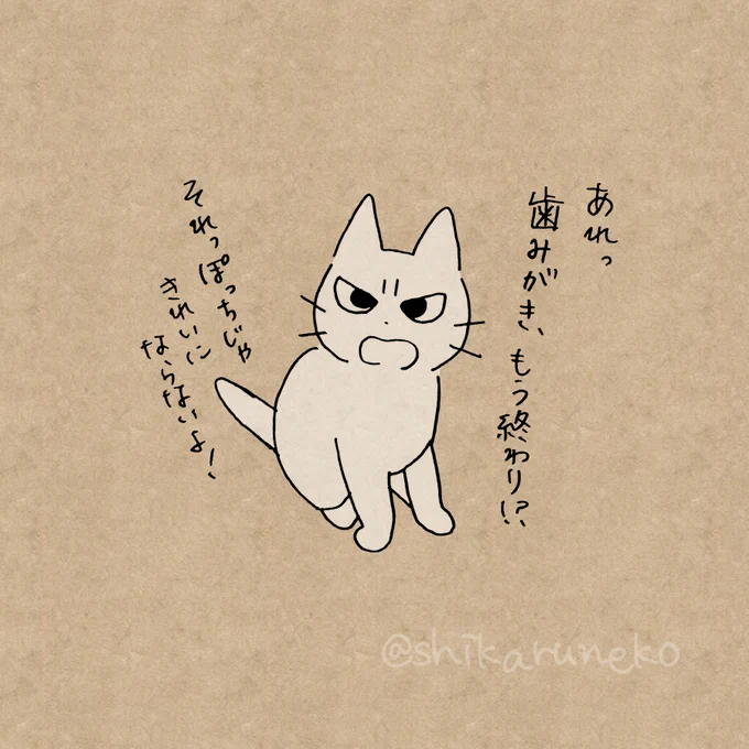 歯磨きが大雑把な人を叱ってくれる猫 