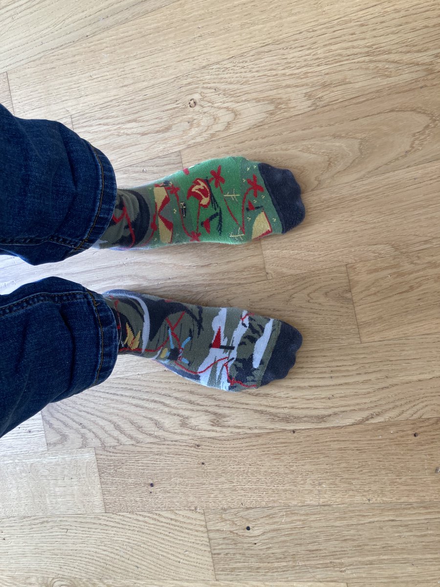 JanaStrahler's tweet photo. #conferencesocks check, the #GP2021 @gp2021online is about to start 🥳 https://t.co/aKDJ8KbClZ