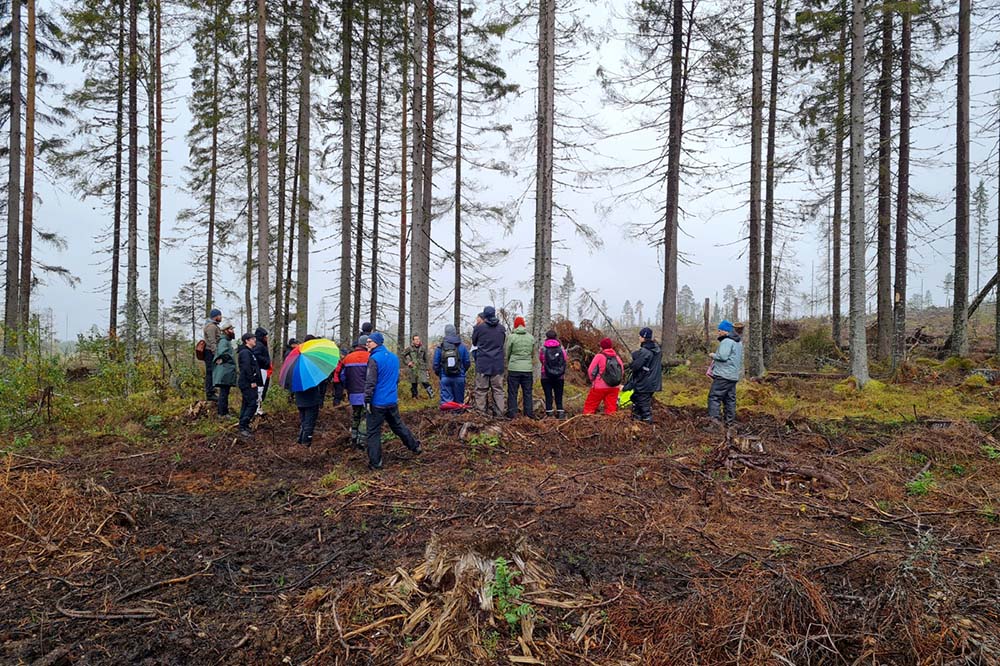 fieldSITES's tweet photo. The 18th @Krycklan1 symposium at Svartberget provided researchers with a breath of fresh air and the opportunity to learn more about the new study site Trollberget.

https://t.co/UFU6bPau1i https://t.co/xZE9e9FPqe