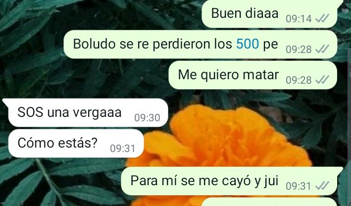 Actualización de los 500 pe que tenían que durar hasta fin de mes 🥲