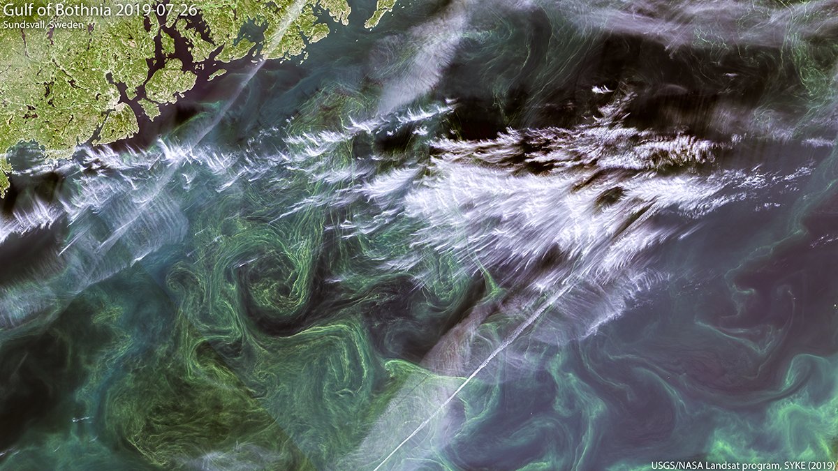 Syke EarthObservation tweet media