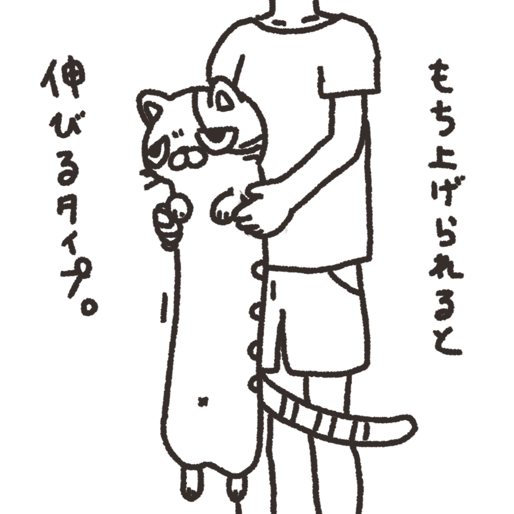 配信リクエストの猫とおまけ 