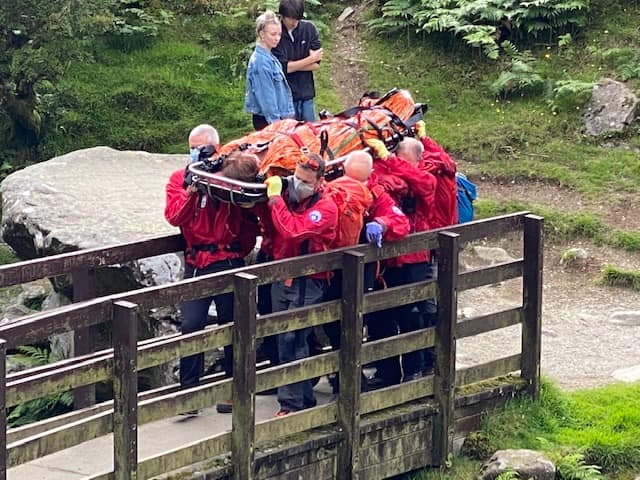 Blizzard Survival tweet media