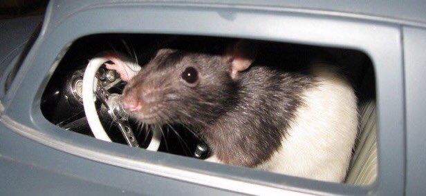 hglsdeter's tweet image. « Auriez-vous l’amabilité de me servir un café s’il vous plaît » pour l’avoir gratuitement