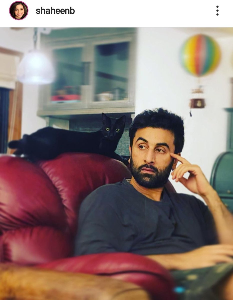 ishqkesariya's tweet photo. Shaheen on ig❤️

#HappyBirthdayRanbirKapoor https://t.co/0vXuRptsYP