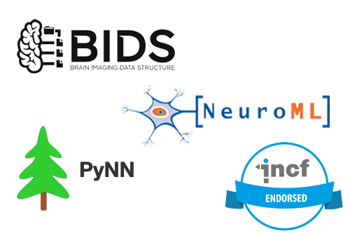 INCForg's tweet image. INCF has re-endorsed NeuroML, BIDS, and PyNN!

Why is re-endorsement important? Find out on our blog:
bit.ly/INCFreendorsem…

#BIDS #PyNN #NeuroML @BIDSstandard @NeuroML