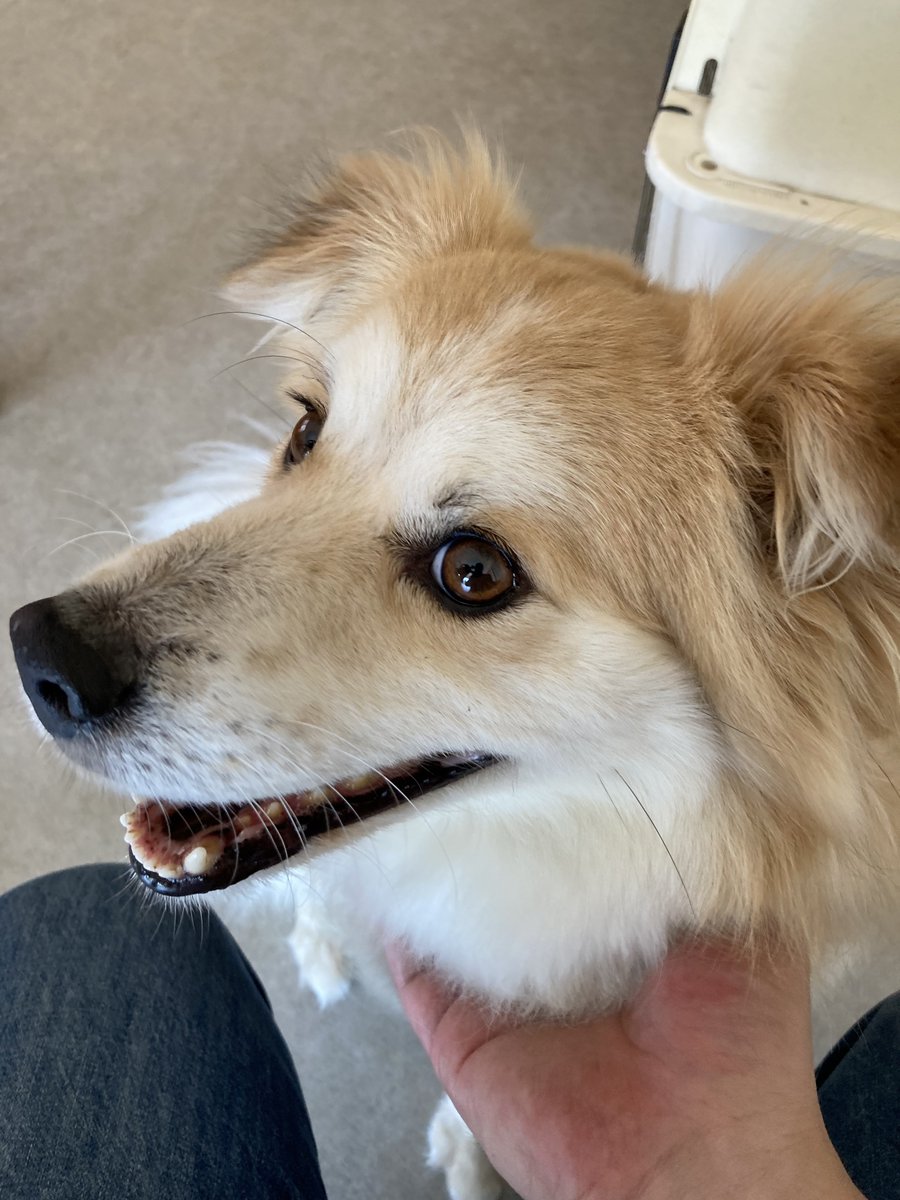 秦野 平塚 障がい者グループホームhares ハース Hares Twitter