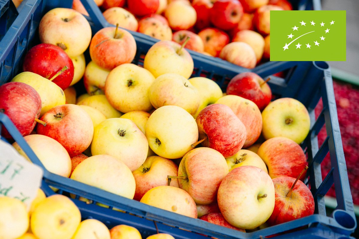 📝 Aicinām pieteikties!
Šī gada 7. un 8.  oktobrī notiks <a href="/EKOprodukts/">Biedrība LBLA</a> organizētās divu dienu MĀCĪBAS Zemgales reģionā “Bioloģiskā augļkopība”. 
Mācību apakštemats „Augļkopība un pārstrāde bioloģiskās lauksaimniecības sistēmā”. 📚🍒🍏 Plašāk:lbla.lv/lbla-aicina-uz…