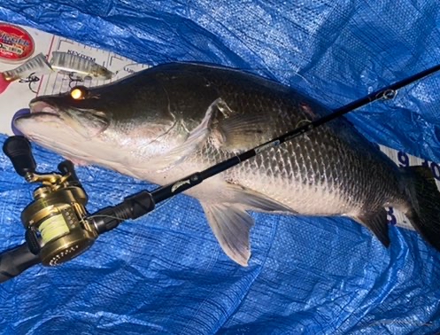 fimosw's tweet image. ヒットルアーが破損寸前😱

地元大分でメーター越えのアカメをキャッチ‼️
▼fimosw.com/u/aaaddd/bjg44…

#fimoブログ
#ジョインテッドクロー178
#エルホリゾンテ78