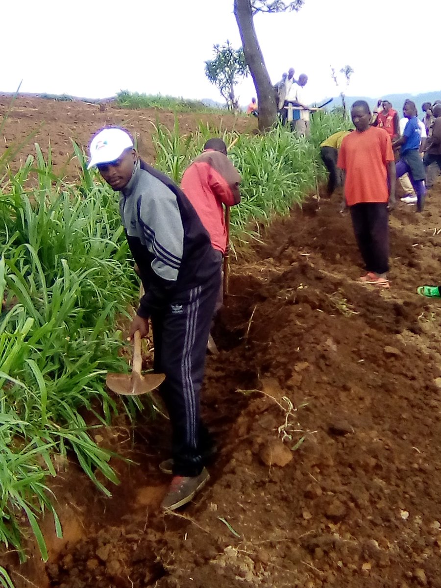 Commune musigati tweet media