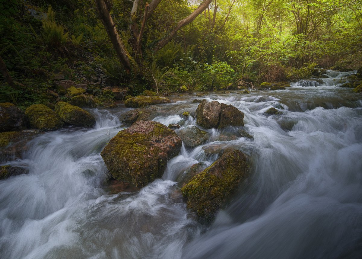 No es lo que ves, es lo que sientes, el momento, el lugar !
Enjoy 😎
#FOTOS #hacerfotos #nftphotography #NFTshill #NFTdrop #nftcollection #NFTartists #nftart #landscape  #NFTCommmunity #NaturePhotography #Asturias #nikonphotography #autumnfalls #luismasu #River