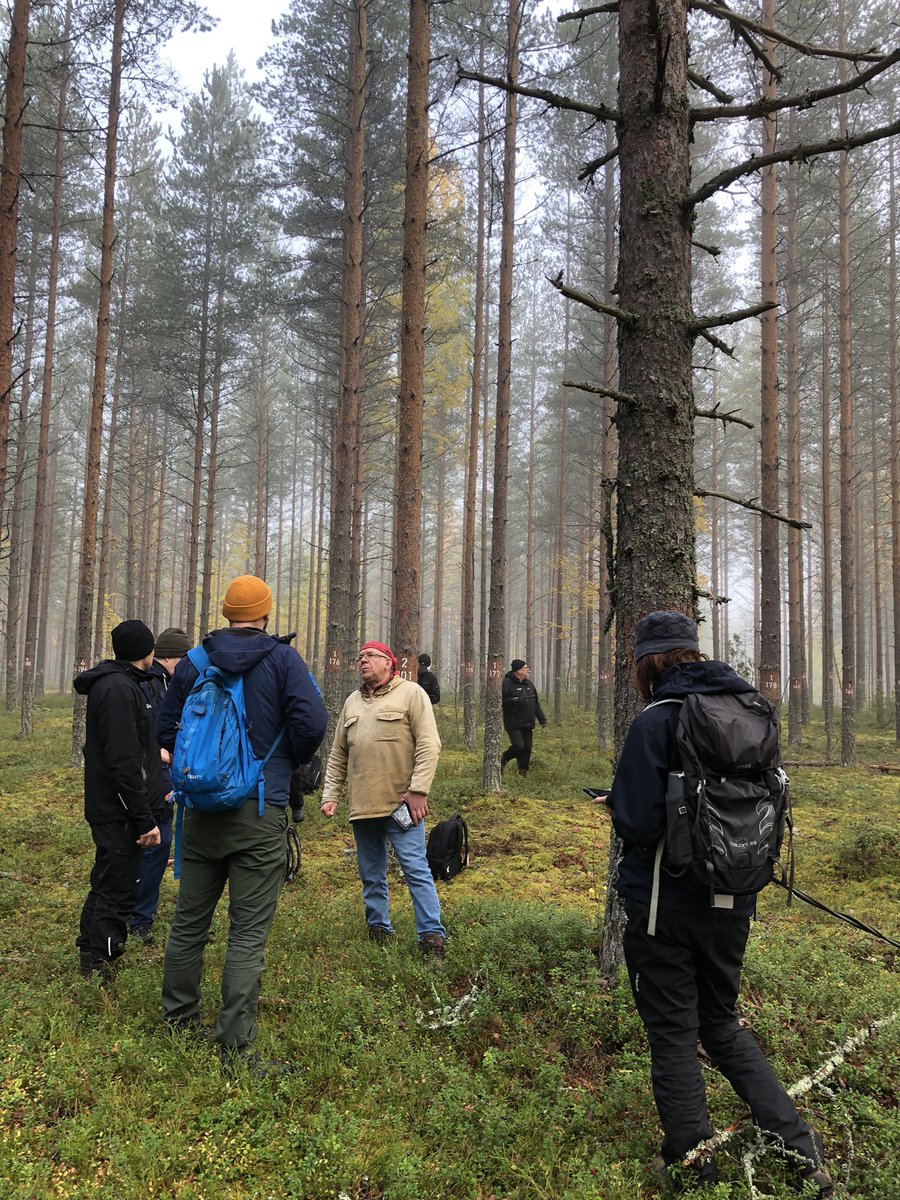 Today @europeanforest is testing the I+ software in the new #marteloscope site in North Karelia with @metsakeskus and @Karelia_amk