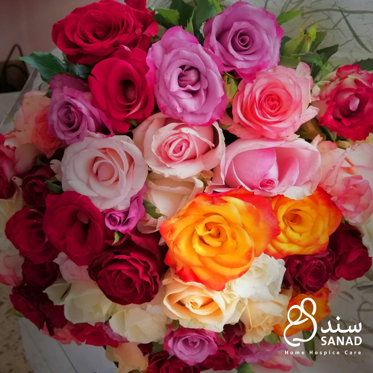 And she had flowers.
A beautiful story about a beautiful patient of #SANADHospiceLebanon.
Read the full story here 💜
bit.ly/3igj1xg
#HospiceCare #Cancer 

وكان عندها ورود.
قصة جديدة لمريضة حلوة من مرضى سند.
اقروها 💜
bit.ly/3igj1xg
#سرطان #صحة #عناية_تلطيفية
