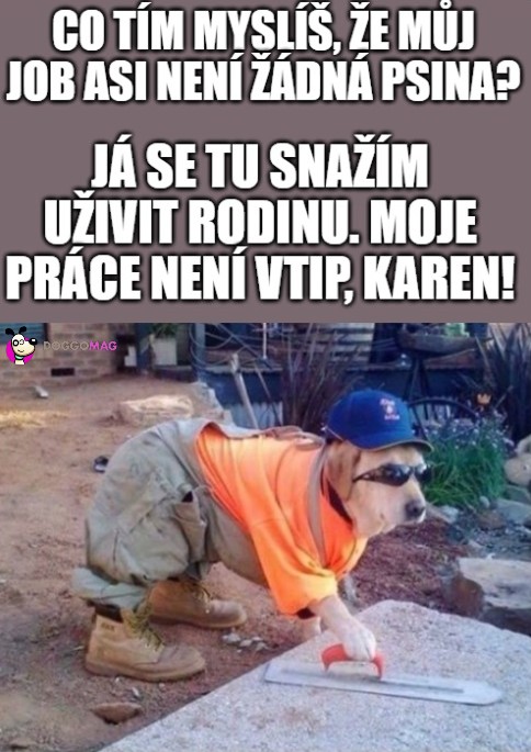 💁🤦 #pes #zivotsepsem #doggomag #doggo #Job