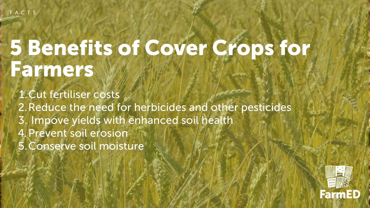 Five benefits of cover crops for farmers... 👨‍🌾

#SoilHealth #SoilStructure #soil #agroecology