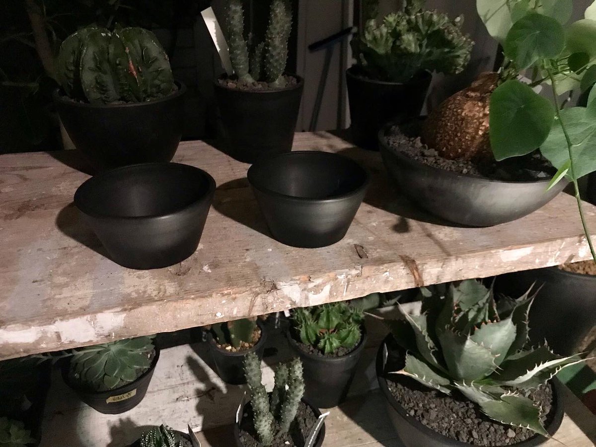 Clutch Furniture V Twitter 黒プラ鉢 黒プラ皿各種各サイズ入荷しています 黒プラ鉢 352 黒プラ皿 132 ネットショッピングから購入可能です 穴開け希望の方は 備考欄に穴開け希望とコメントして下さい 穴開けサービスで発送致します 植木鉢 植え替え