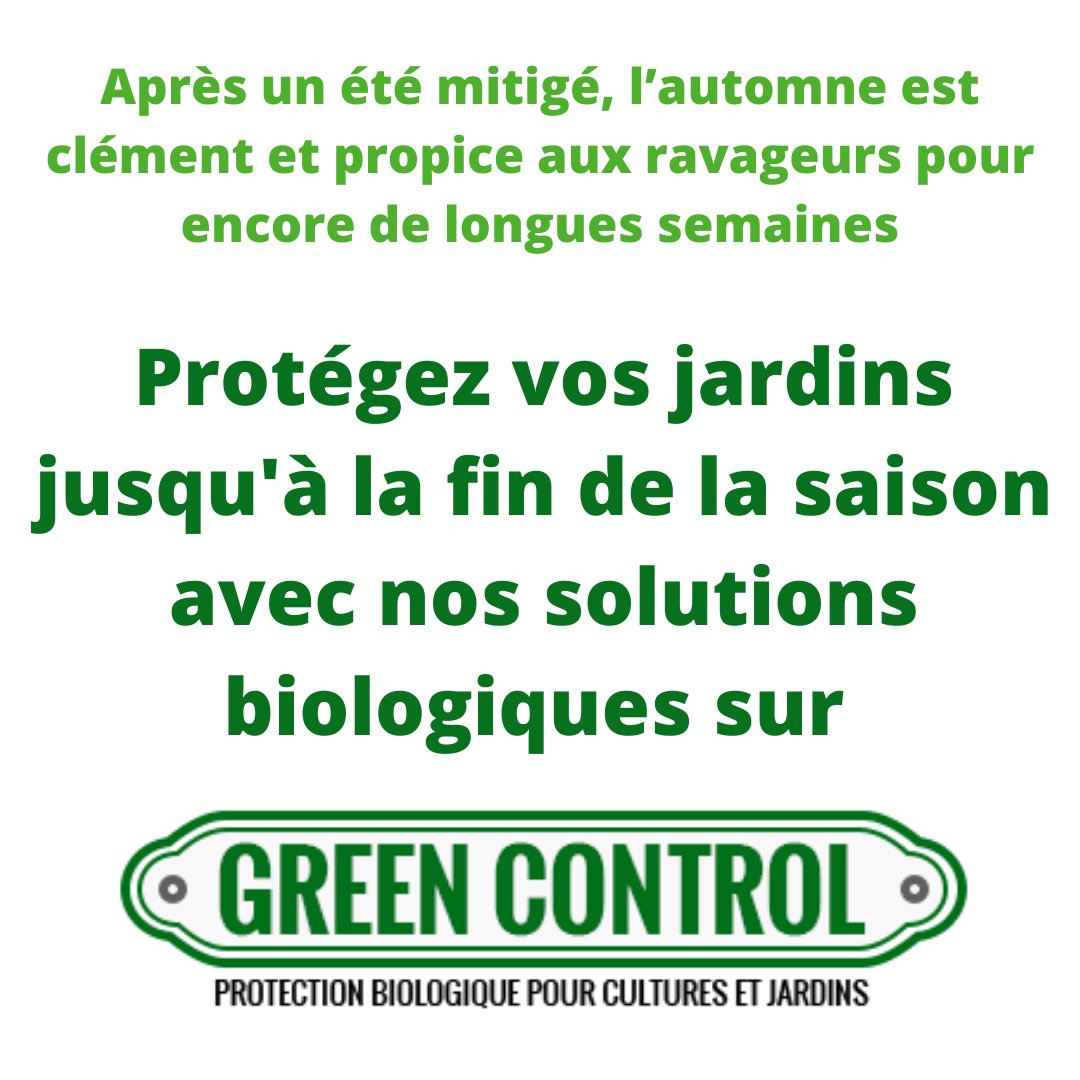 GreenControl_'s tweet image. Protégez vos jardins jusqu&apos;à la fin de la saison avec nos solutions biologiques sur green-control.fr

Abonnez-vous à notre newsletter sur le site pour recevoir un code de réduction de 10% par mail