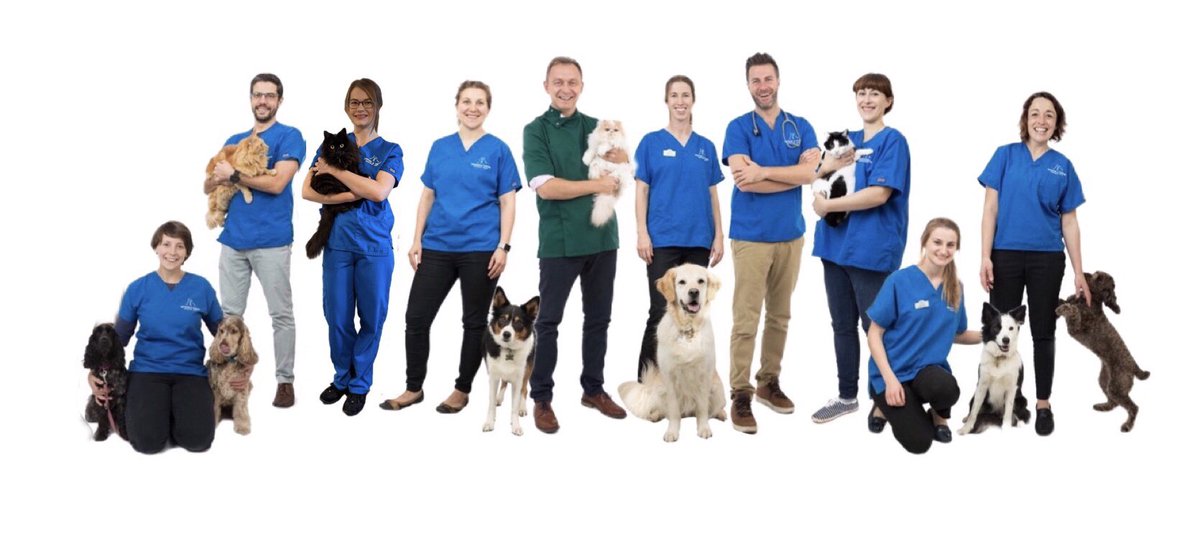 Wanted - Practice Development Personal Assistant to work with management team (inc <a href="/stevevet1/">Steve T</a>) and alongside an amazing team. Role will work on admin tasks and future projects. Deadline 12pm 30th. Want to be a <a href="/WTVets/">Watkins Tasker Vets</a> superstar? More details: 

watkins-tasker-vets.co.uk/vacancies.html