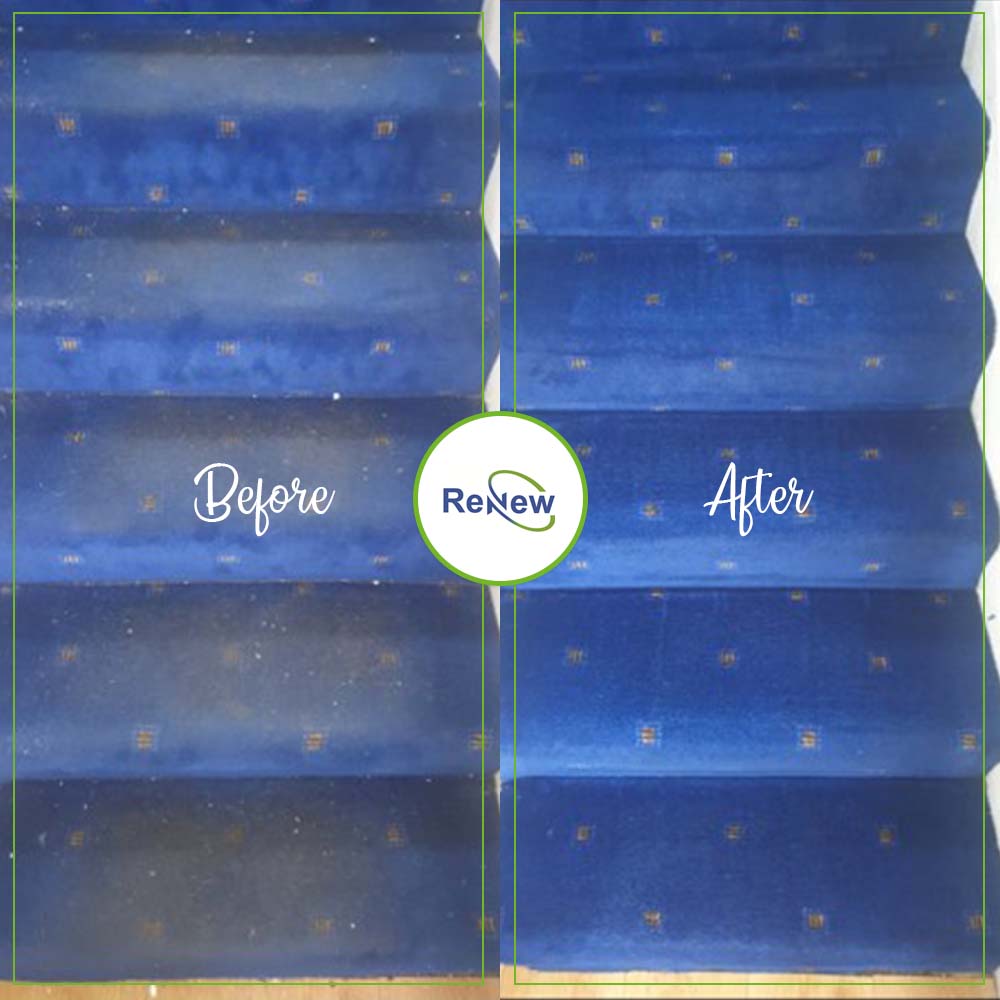 Renew Carpet Cleaning (Renew_Cleaning) Twitter