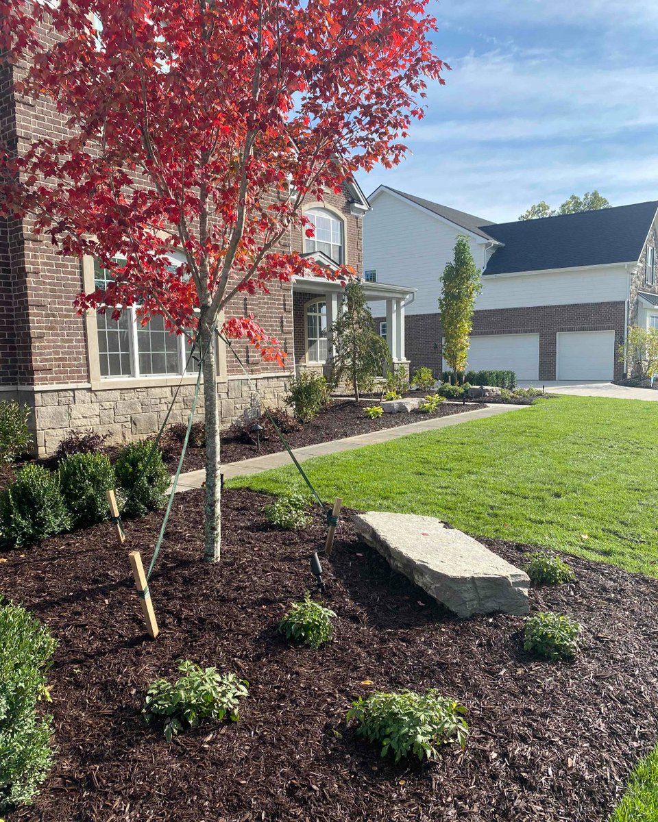 DAAlexanderCo's tweet photo. Fall is in the air.
πππ¨
#daalexander #fall #maple #trees #landscaper #landscapedeisgn #landscapephotos #michigan #mi #canton #plymouth #northville #novi #ledgestone #mulch #boxwood #professional #getitdone #falltime #buildersbestfriend #sod #wow #pretty #loveyourlandscape https://t.co/2K2KSKoA1N