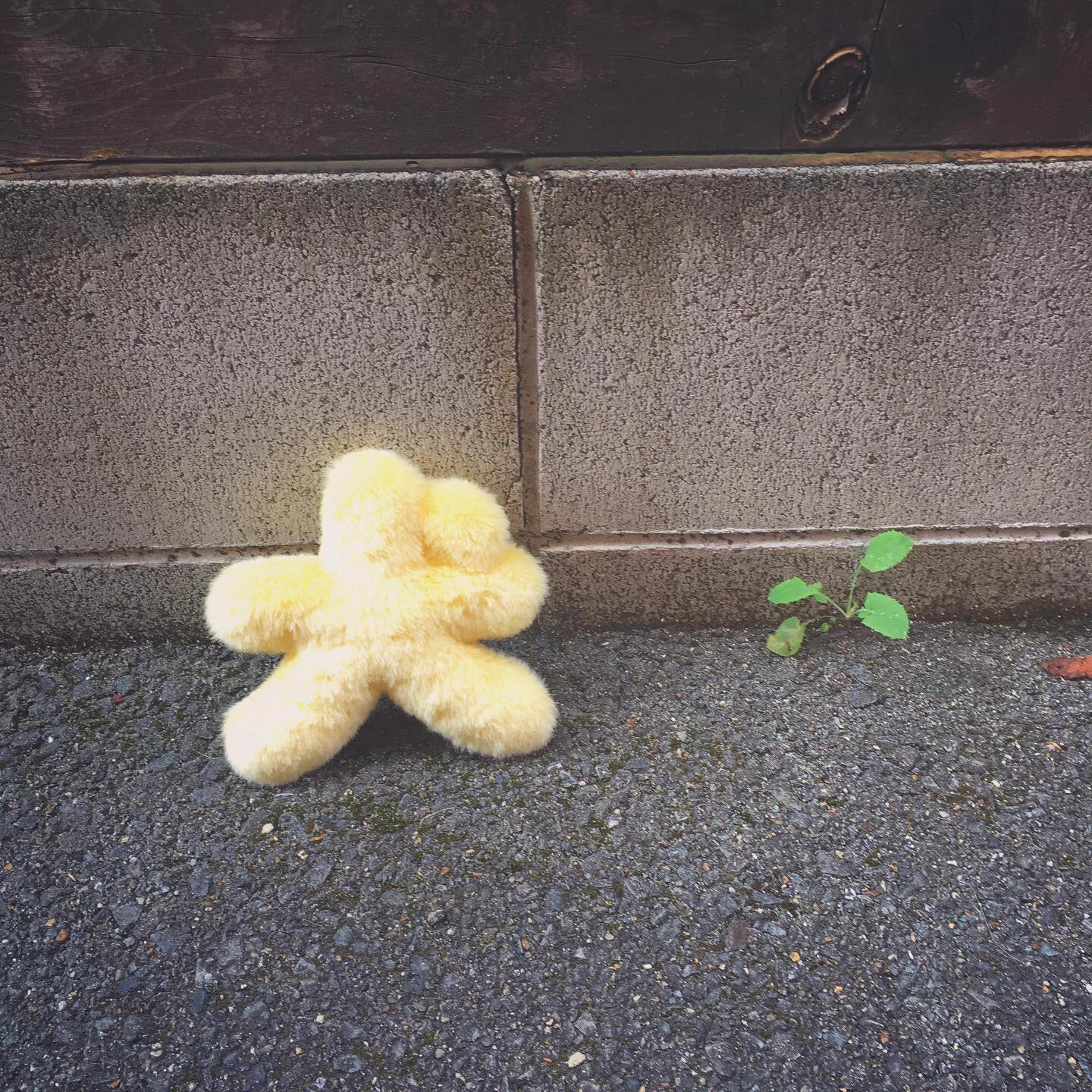 これが正しいのかも？犬のぬいぐるみを作ってみたwww