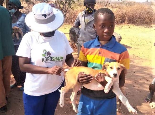 VicFallsWildlifeTrust tweet media