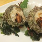 ツイートに含まれる画像