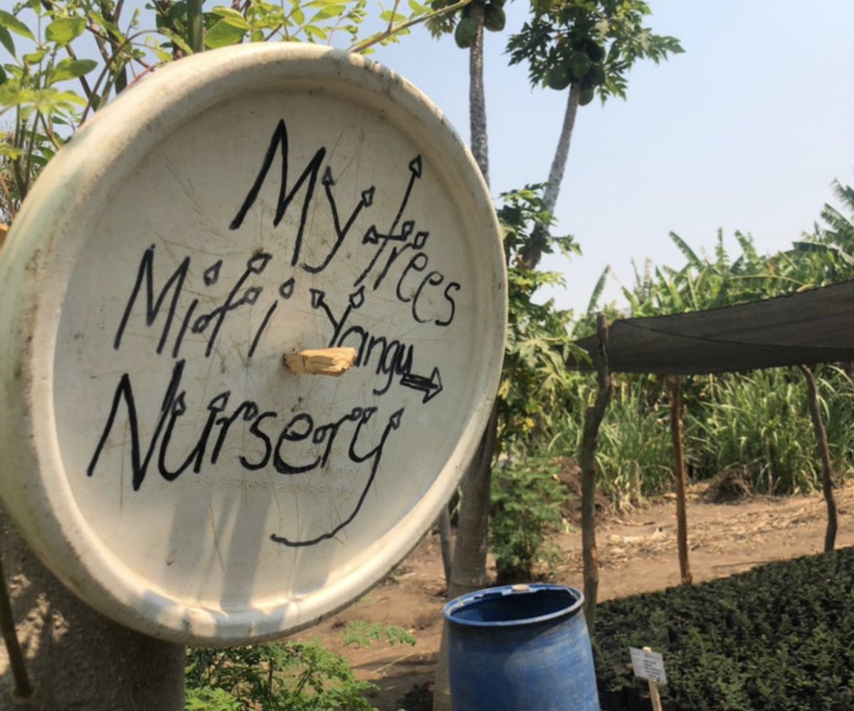 We are excited to announce #MyTreesTrust is now operating in Zimbabwe's Honde Valley. Thank you to our supporters who've made this expansion possible and to the Honde Valley community for inviting us to walk this re-afforestation journey together. #righttreesintherightplace