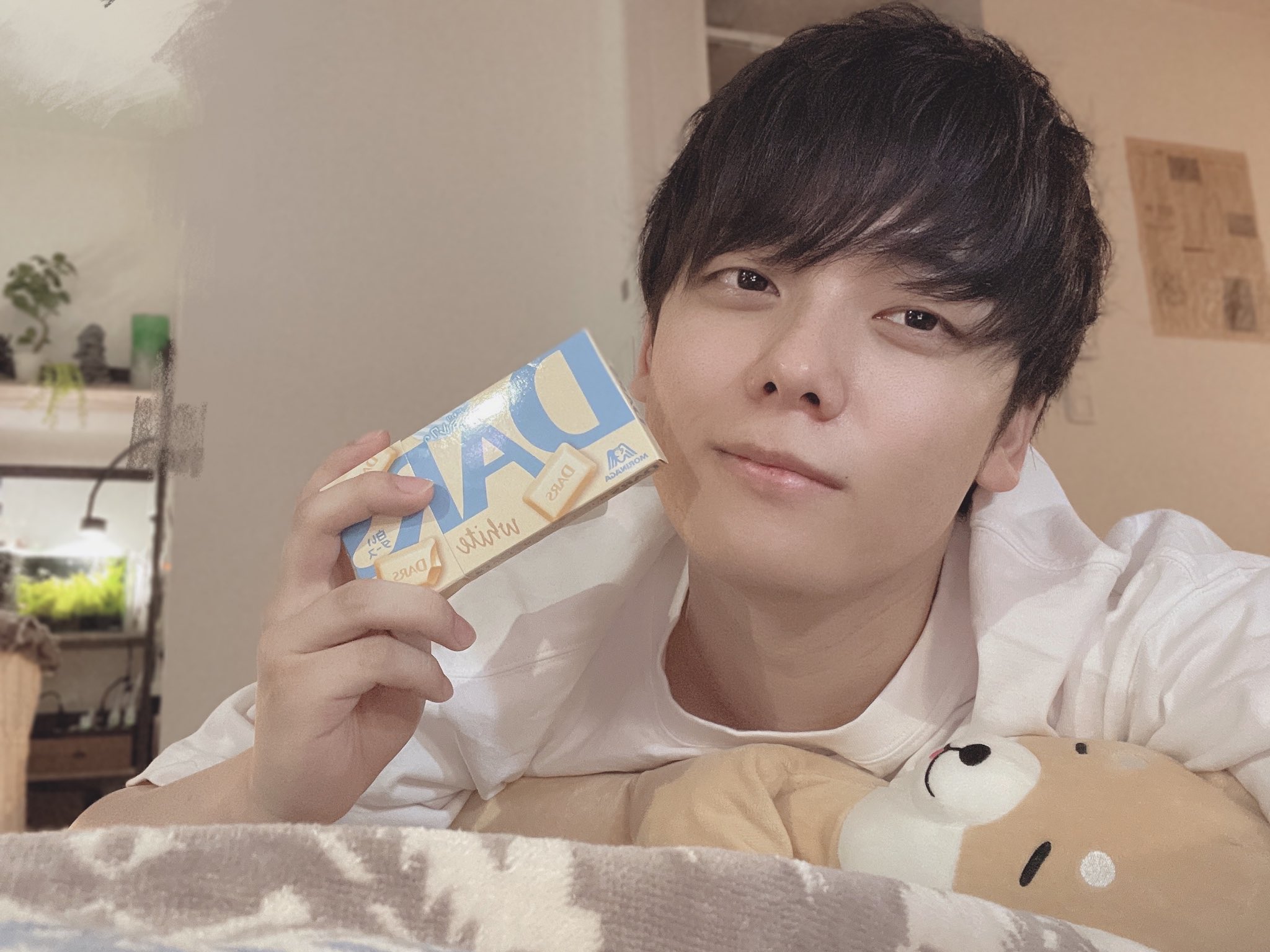 宮川大聖 ウィスピー ぬいぐるみ みやかわくん 宮川大聖 ウィスピー