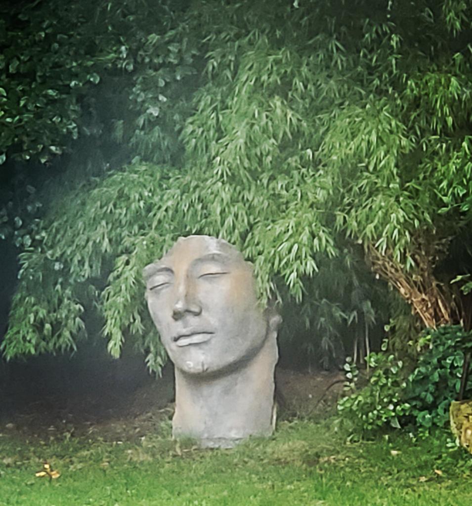 Garden art. @cookinschool