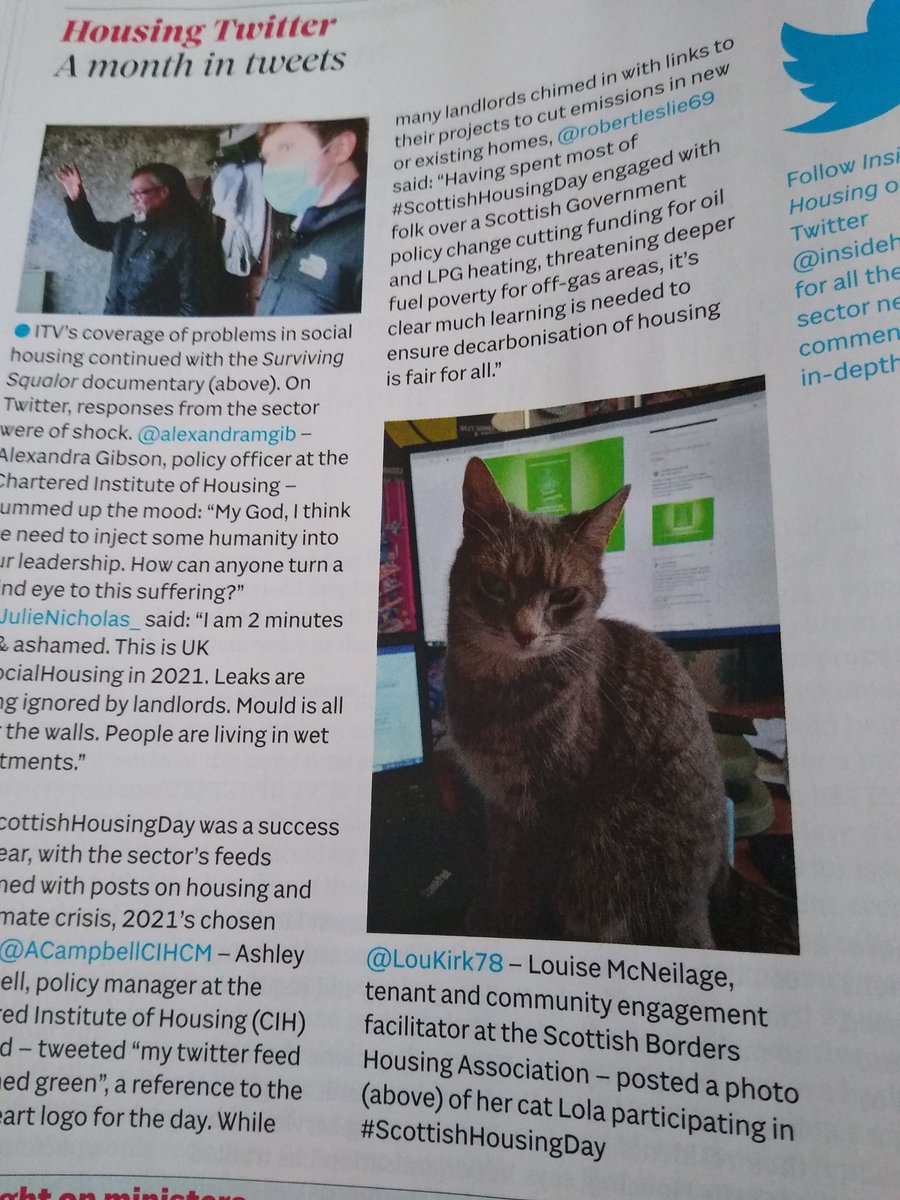 ScotBordersHA's tweet photo. Check out the #September edition of @insidehousing featuring Lola #cat🐱celebrating #ScottishHousingDay @scothousingday earlier this month. Lola lives with SBHA's Tenant & Community Engagement Facilitator Louise McNeilage @LouKirk78 #SBTO #ScottishBorders https://t.co/ocEYKDJEmo https://t.co/RIhbzcJ7BR
