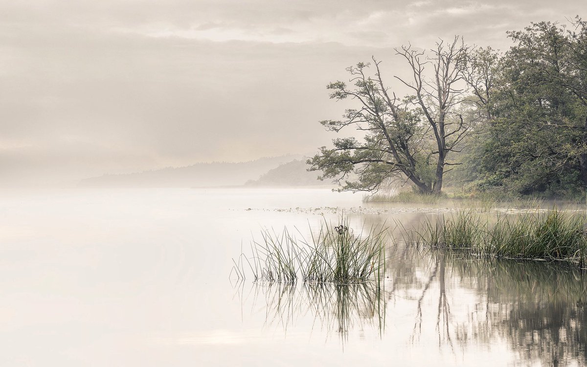 KristianVillad2's tweet photo. @FlakPhoto Hi I’m a landscape photographer from Denmark https://t.co/ULKMFXAMbT