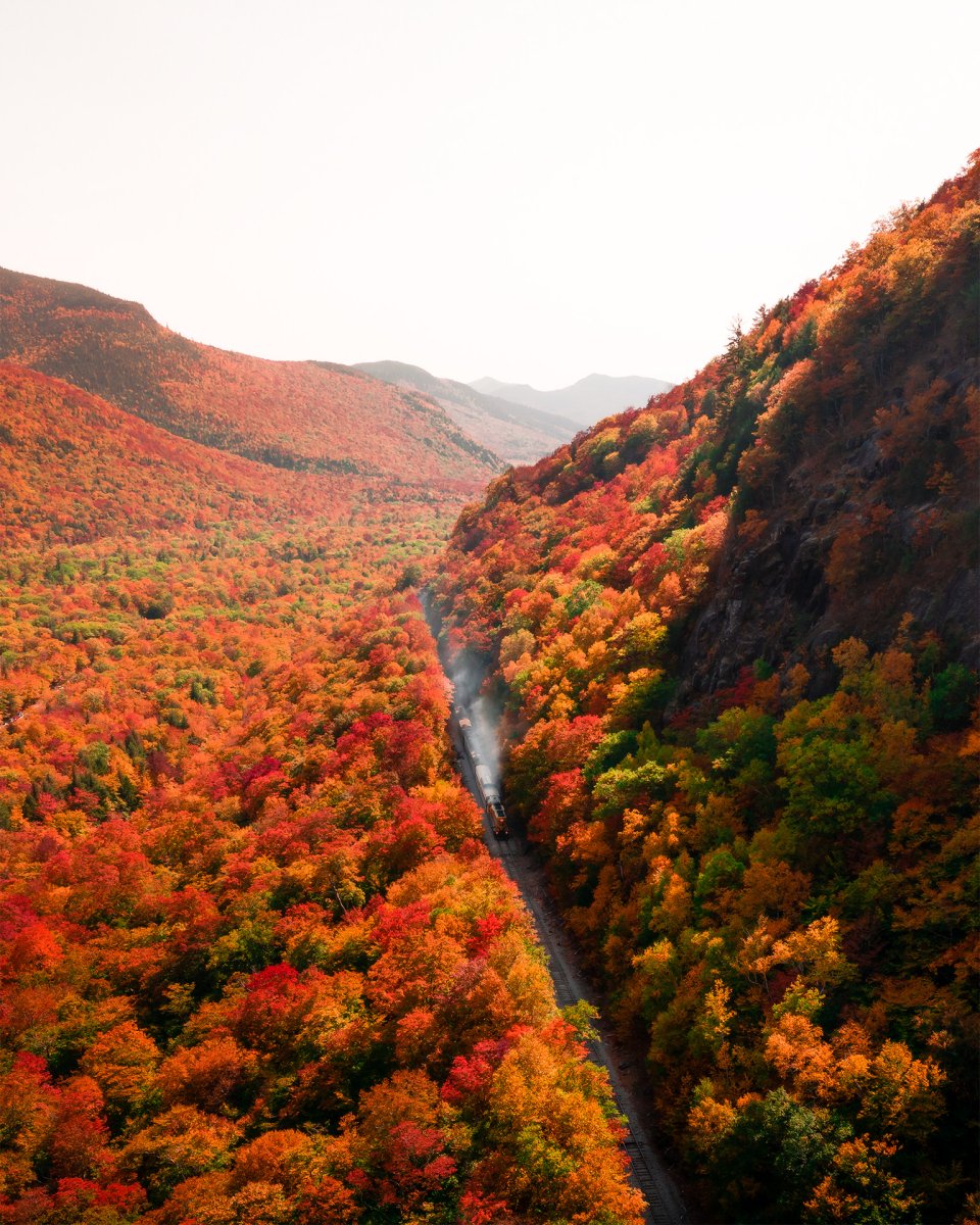A  train ride through fall 🍂🛤

📸: <a href="/benskaarphoto/">skaar</a>, Mavic 2 Pro