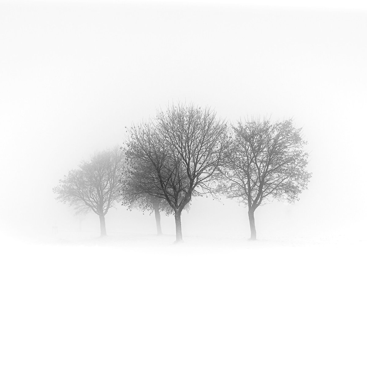 Wintermood #minimalphoto #minimalism #minimalist #minimalistphotography #simplicity #minimalistic