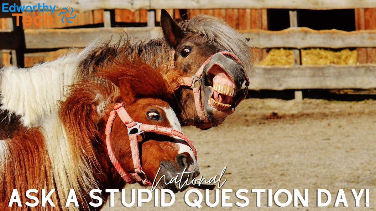 We all love a great laugh on a Tuesday!
Laugh like these ponies and tell us your silly questions! 

#edworthytech #smiletuesday #tuesday #happytuesday #nationalday #laughingday #happydays #sillyquestions #stupidquestions