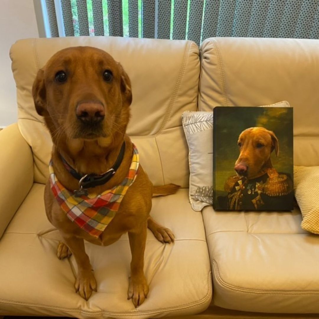 Who's a good boy!?🐶 When you receive your #petportraits we will always encourage you guys to share your pictures with us, these pictures of your pets make our day!❤️ Make sure to tag us <a href="/Purrandmutt/">Purr & Mutt</a> so we can share them on our socials! #purrandmutt #DogsofTwittter