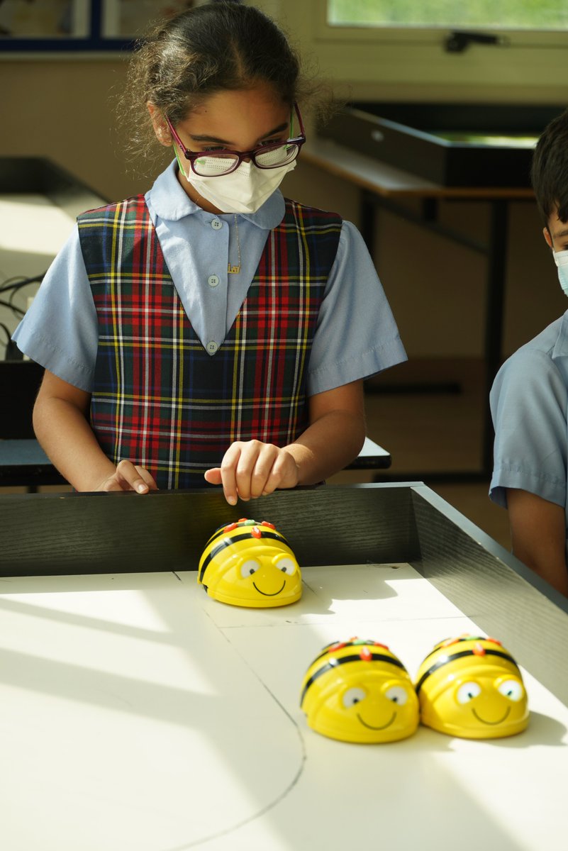 AIS_DigitalEd's tweet photo. Our #AISGrade3 students are learning how to code a Bee-Bot. #AISDigitech https://t.co/orT4gvCOpN