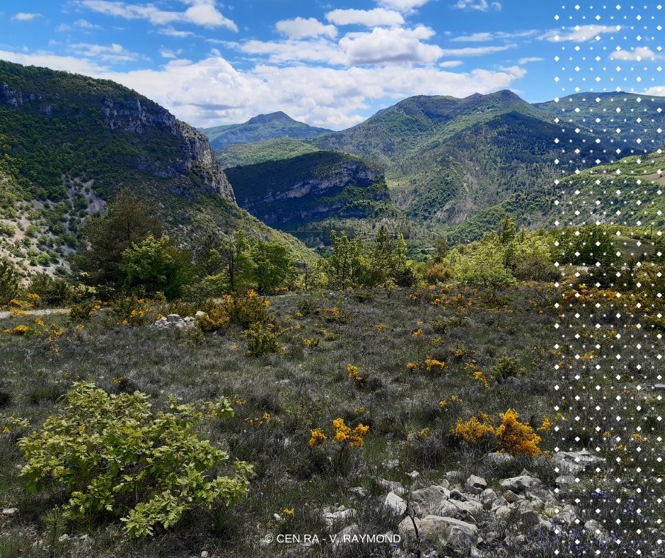 Envie d'en apprendre plus sur la #biodiversité et de devenir acteur de sa préservation ? "Nature sensible" est l'événement fait pour vous ! Avec le <a href="/CenRhoneAlpes/">Cen Rhône-Alpes     </a> et la commune de Villeperdrix , on vous propose un apm de découverte ce samedi 2 octobre 👉 buff.ly/3zNnKw8