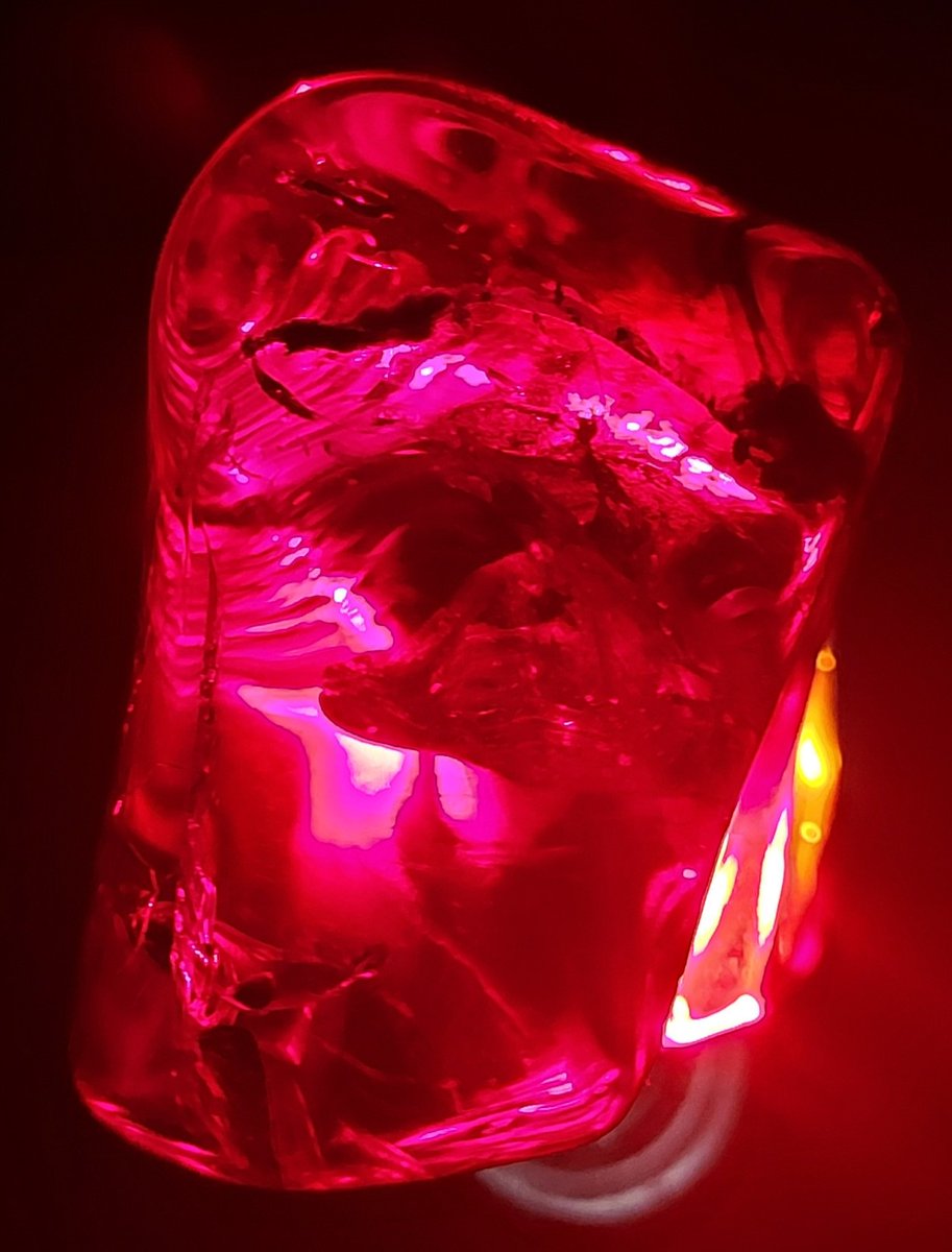 hugogill's tweet photo. Some mobile phone photos of The Red (pink and scarlet too) Dragon Bird in Cretaceous amber. These photos were taken in almost blackness with torchlight to reveal the amazing colour caused by red pigment in the feathers of the dinobird.
#burmite #amber #cretaceous #kachin https://t.co/JuAqy2rGLj