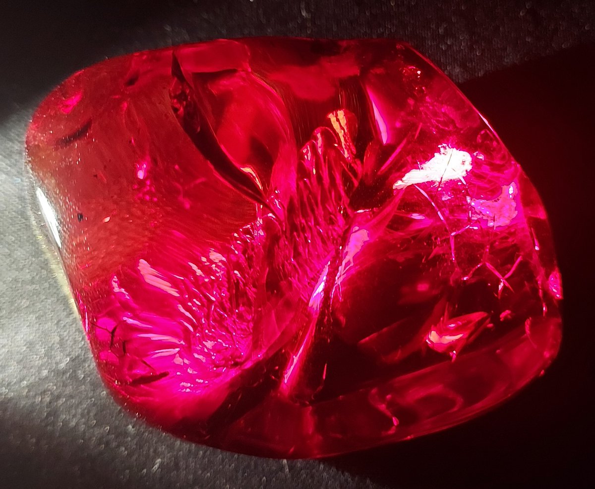 hugogill's tweet photo. Some mobile phone photos of The Red (pink and scarlet too) Dragon Bird in Cretaceous amber. These photos were taken in almost blackness with torchlight to reveal the amazing colour caused by red pigment in the feathers of the dinobird.
#burmite #amber #cretaceous #kachin https://t.co/JuAqy2rGLj