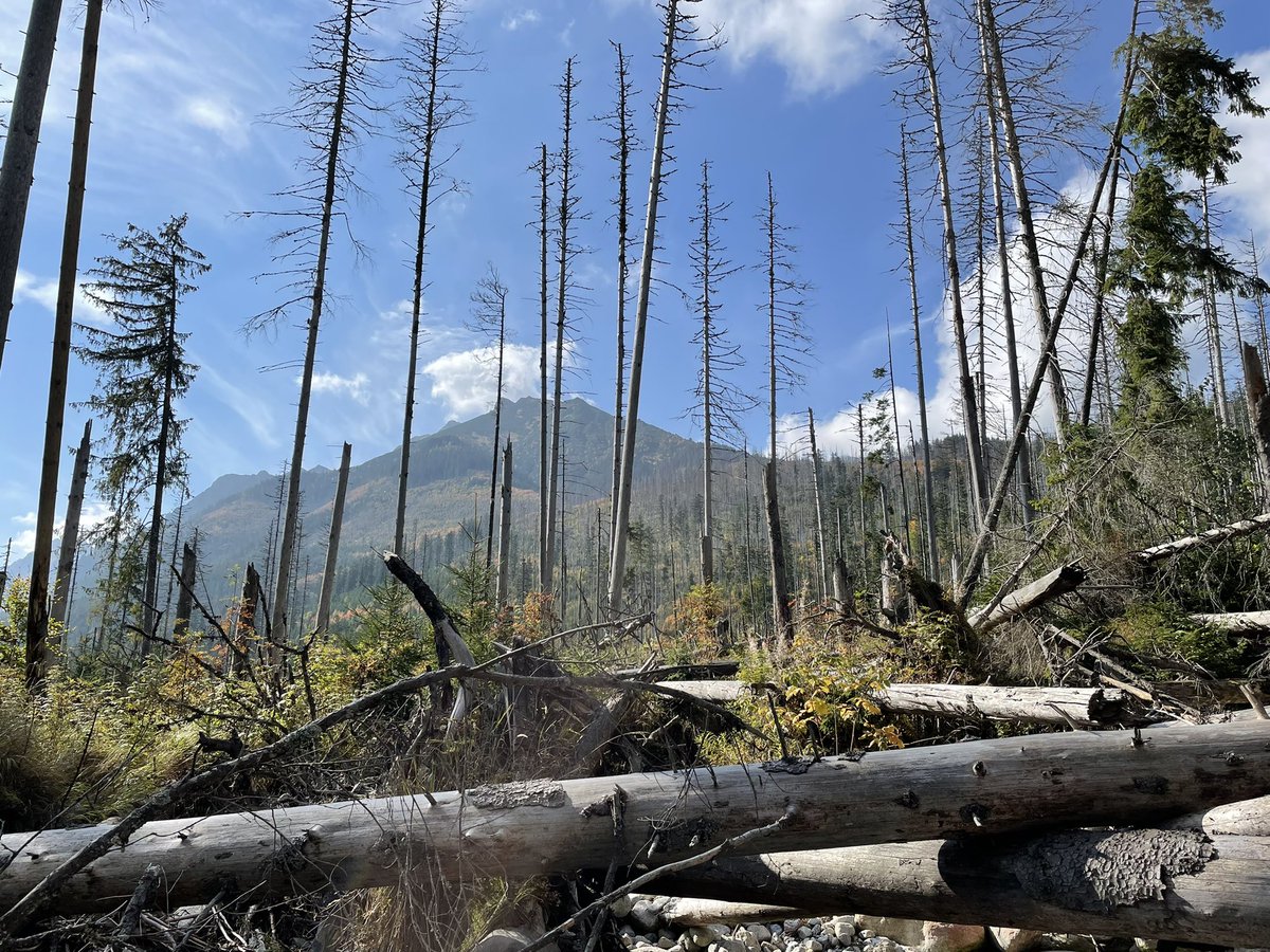 Gregory Hoke (@gdh_geo) on Twitter photo Fall in the Tatra Mountains with Artur Sobczyk collecting river sediment samples for erosion rates as part of my <a href="/NCN_PL/">Narodowe Centrum Nauki</a> project. Fall in the Tatra Mountains with Artur Sobczyk collecting river sediment samples for erosion rates as part of my <a href="/NCN_PL/">Narodowe Centrum Nauki</a> project.