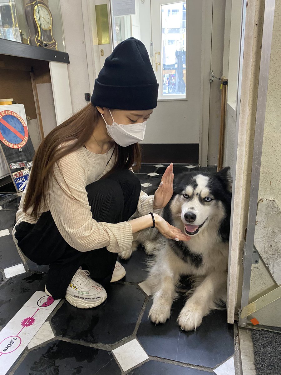 darongkeem's tweet photo. Fell in love with this cutie..🐶👅💕 https://t.co/ErjSmVdfid