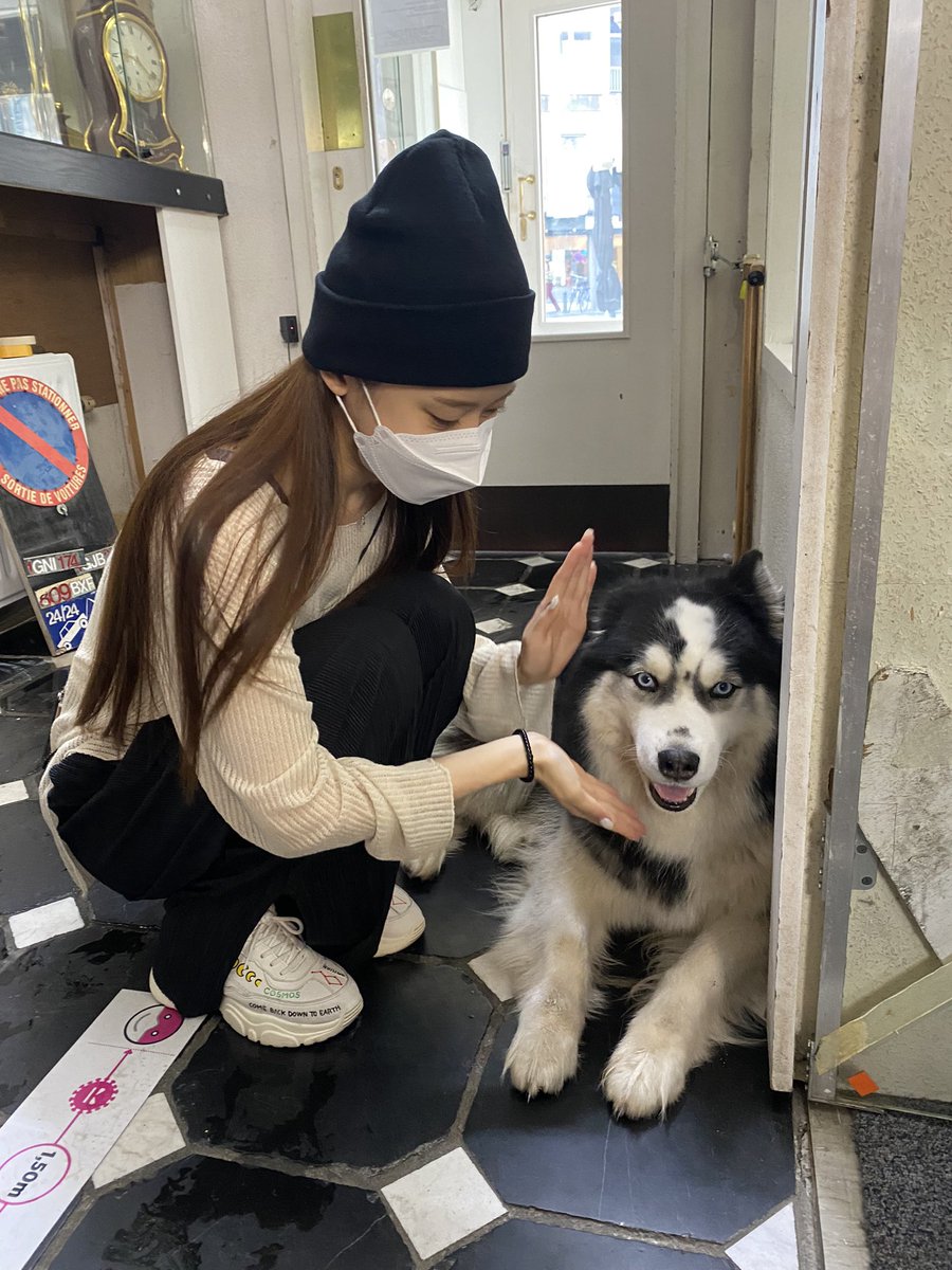 darongkeem's tweet photo. Fell in love with this cutie..🐶👅💕 https://t.co/ErjSmVdfid