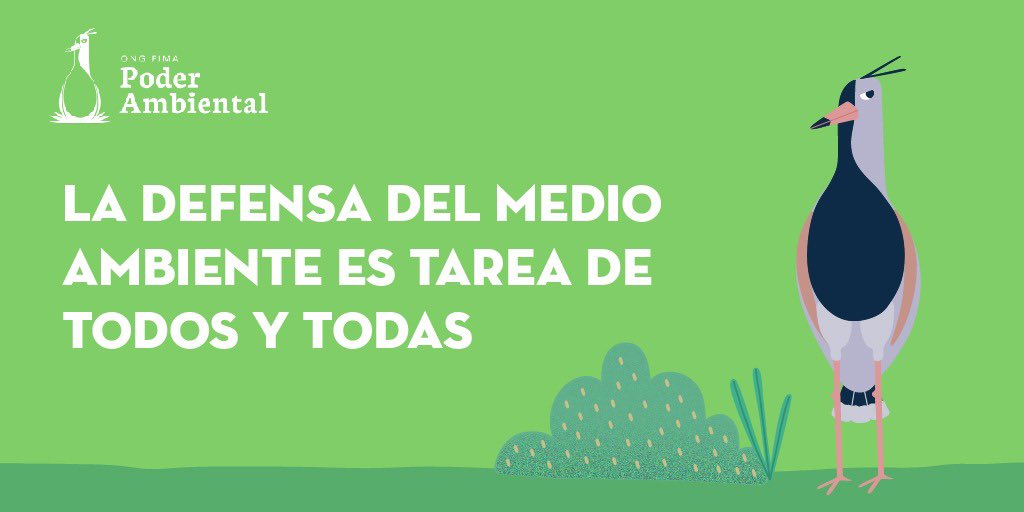 FIMA_Chile's tweet photo. #PoderAmbiental ✊🏼🌿

¡La defensa del medio ambiente es tarea de todos y todas! https://t.co/wt35PspYBm