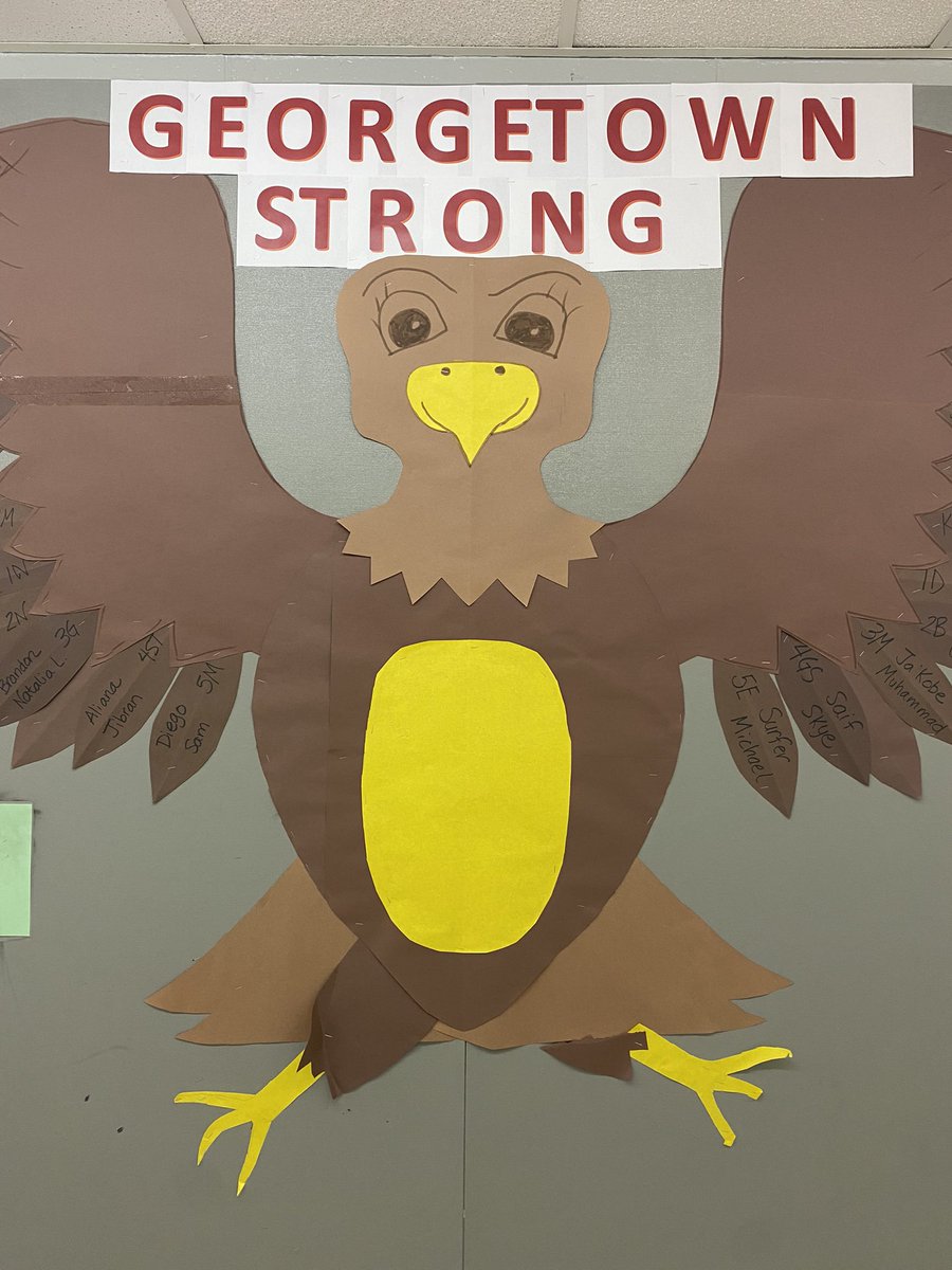 George The Hawk (@georgetown204) on Twitter photo George the hawk is getting his feathers as students are showing outstanding behavior! <a href="/ipsd204/">Indian Prairie 204</a> #georgetownstrong George the hawk is getting his feathers as students are showing outstanding behavior! <a href="/ipsd204/">Indian Prairie 204</a> #georgetownstrong