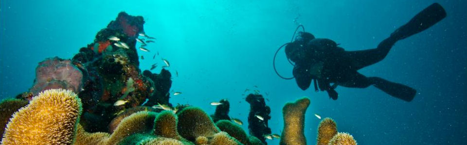 <a href="/SoliDive/">SoliDive</a> promueve la creación de centros de buceo basados ​​en la economía solidaria. Inscríbete para conocer sus iniciativas en #economiaazulsolidaria:
acpp.com/seminario-ille…
<a href="/ACPPasamblea/">ACPP</a> <a href="/iesMed/">iesMed</a> <a href="/CIHEAMIAMM/">CIHEAM Montpellier</a> @Treball_Goib @cmat_ib <a href="/goib_cooperacio/">Cooperació Illes Balears</a> @ENICBCMed <a href="/SocialEcoEU/">Social Economy EU</a>