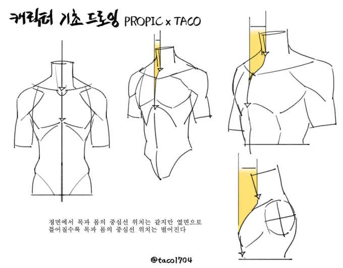 정면에서 옆면으로 각도가 바뀔수록 목과 몸의 중심선 위치는 벌어진다 